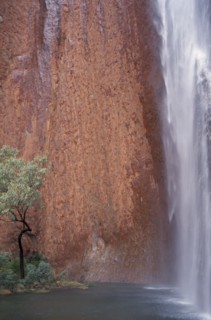AUSTRALIA, Northern, Uluru, Ayers Rock. Maggie Springs. Cascading waterfall after torrential