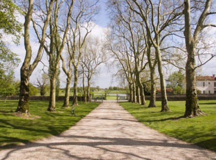 FRANCE, Deux Sevres Region, Poitiers, Trees line the gravelled path leading towards a golf course