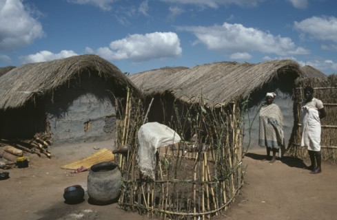 MALAWI, Dedza District, Refugees, "Small, enclosed vegetable plots outside tents in Mozambican