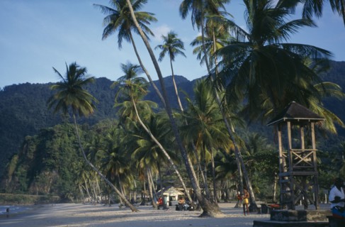 TRINIDAD, Maracas Bay, Palm fringed sandy beach with life guards stand.