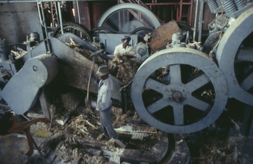 GUADELOUPE, Industry, Workers in rum distillery interior.