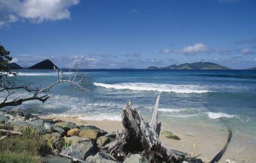 BRITISH VIRGIN ISLANDS, Tortola, Driftwood and rocks on shore of sandy beach with breaking surf.