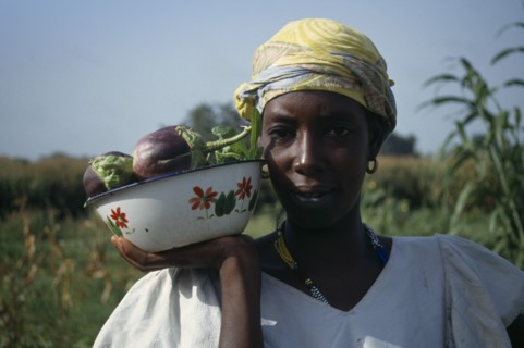 GAMBIA, Agriculture, Head and shoulders portrait of woman holding dish of aubergines.