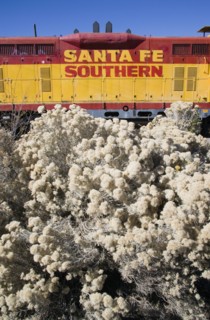USA, New Mexico, Santa Fe, Old Santa Fe Southern railway engine