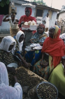 GHANA, Industry, Women’s group near Accra making palm nut oil.