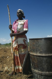 MALAWI, Farming, Female worker on LOMADEF Lipangwe Organic Manure Demonstration Farm using chicken
