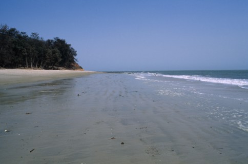 GUINEA BISSAU, Cacheu Region, Varela, "GUINEA BISSAU, Cacheu Region, Varela Atlantic Ocean. View