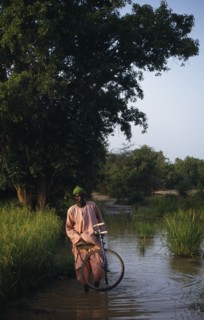 GAMBIA, People, Men, Man with bicycle wading through water