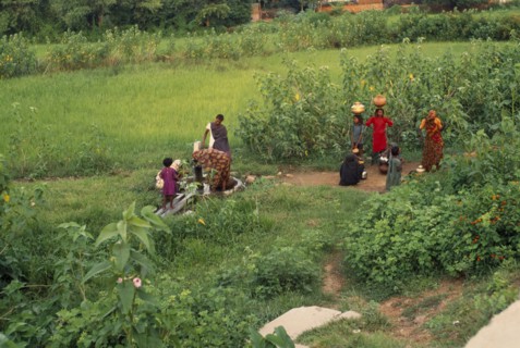 INDIA, Uttar Pradesh, Jhansi, Indian women drawing water from tubewell in rural area.