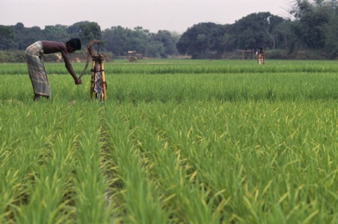 BANGLADESH, Brahmanbaria, Labourer using hand tube well to irrigate land.