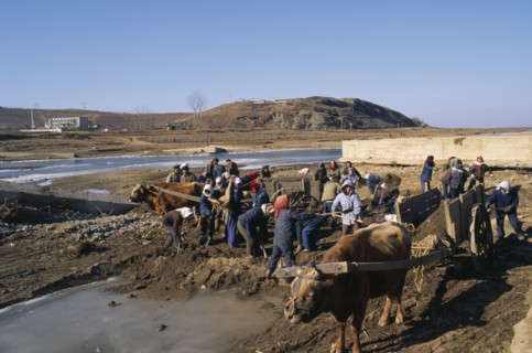 NORTH KOREA, N. Hwanghae Prov., Environment, Repairing bridge damaged by 1995 floods.