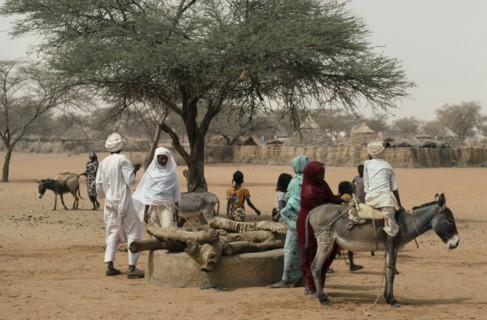 SUDAN, Kordofan, North, People using donkey to help draw water from well.