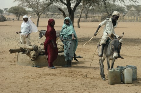 SUDAN, Kordofan, North, People using donkey to help pull up water from well.