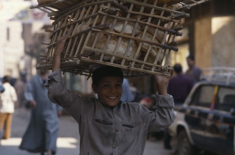 EGYPT, Cairo, Smiling baker’s boy delivering the morning bread carried in basket on his head.