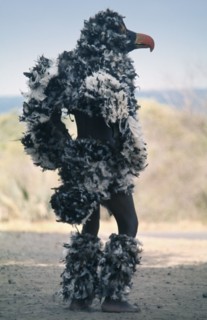ZIMBABWE, People, Men, Makishi bird dancer in feathered mask and costume.