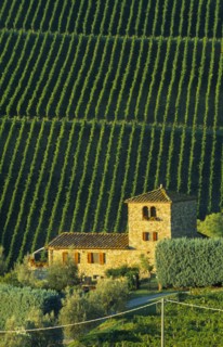 ITALY, Tuscany, Chianti, Farmhouse and vineyards near Panzano.