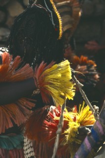 MALI, Ceremony, Dogon dancer wearing costume of red and yellow fringed fibre with bead and cowrie