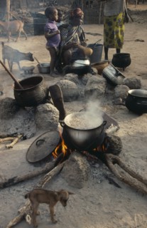 MALI, Food, Woman cooking on open fires in village compound with children and goats.