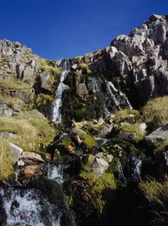 SCOTLAND, Highlands, Inchnadamph Forest, "Stream and waterfall from Coire a’ Mhadaidh, North side