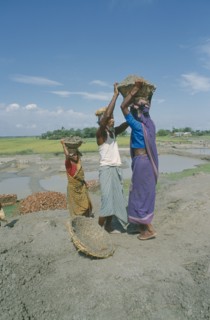 BANGLADESH, Rangpur, Male and female labourers working on embankment.