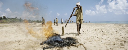 INDIA, Tamil Nadu, Auroville, A government-led clean-up operation takes place on Auroville beach