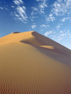 NAMIBIA, Namib Desert, Sossusvlei, Sand dune with dramatic clouds scattered in a blue sky above