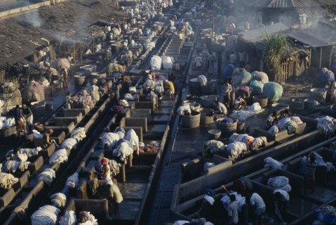 INDIA, Delhi, View over busy workers in open air laundry