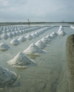 THAILAND , Ratchaburi Province, Salt pans outside Bangkok on the road to Ratchaburi