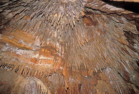 AUSTRALIA, Tasmania, "Stalactites at King Solomon's Cave in Mole Creek Karst National Park, the