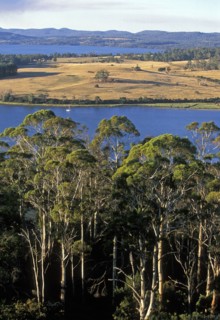AUSTRALIA, Tasmania, Tamar Valley, "Looking north from Brady's Lookout State Reserve across the
