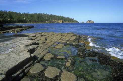 AUSTRALIA, Tasmania, "Tessallated Pavement, a wave-cut platform of horizontal strata on the