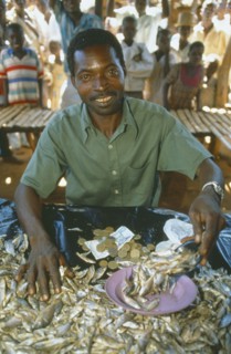 MALAWI, Mulanje, Portrait of male market stall holder selling dried fish. Able to do this due to
