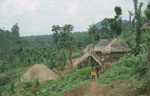 INDIA, Karnataka, Gudulur Hills, Children on a path leading to a tribal village surrounded by green