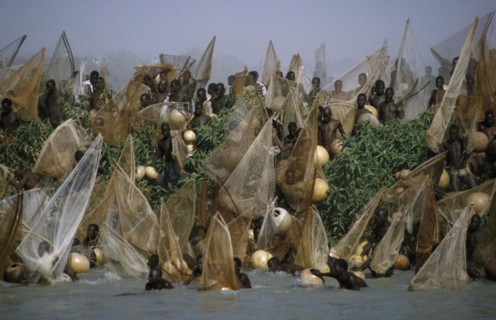 NIGERIA, North, Argungu, Fishing Festival.  Mass of men and nets at climax of three day festival.