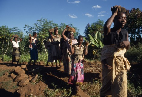 MALAWI, Mulanje, Bwanali village development committee road building project.  Women building