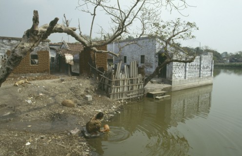 INDIA, West Bengal, Calcutta, Woman washing pot in polluted water of slum with dung used for fuel