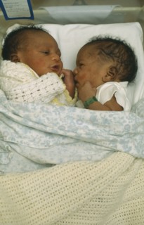 CHILDREN, Twins, One week old African twins in cot together and communicating.