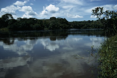 CENTRAL AFRICAN REPUBLIC, Landscape, Landscape with river lined by tropical rainforest.