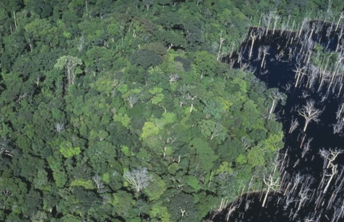 BRAZIL, Amazon, Para, Aerial view over tropical rainforest drowned by the Tucurui reservoir on the