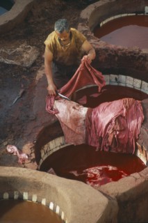 MOROCCO, Fes, Chouwara Tanneries.  Man working in the tanner’s pits using red dye.