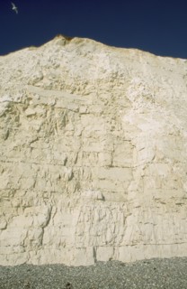 ENGLAND, East Sussex, Birling Gap, Section of cliff face.