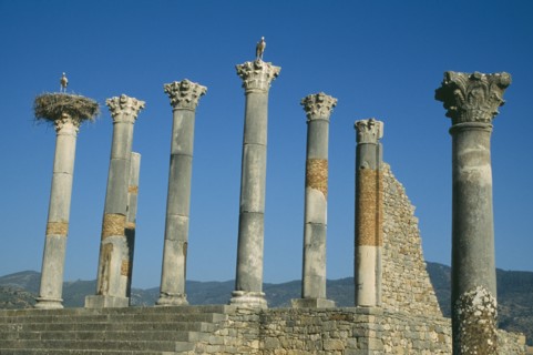 MOROCCO, Volubilis, Roman ruins of the Capitol dating from 217 AD with storks nesting on top of the