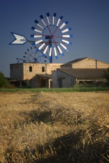 SPAIN, Balearic Islands, Mallorca, Farm with windmills near Palma de Mallorca.