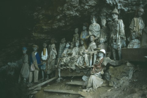 INDONESIA, Sulawesi, Toraja wooden funeral effigies or Tau Tau set into cliff cemeteries to