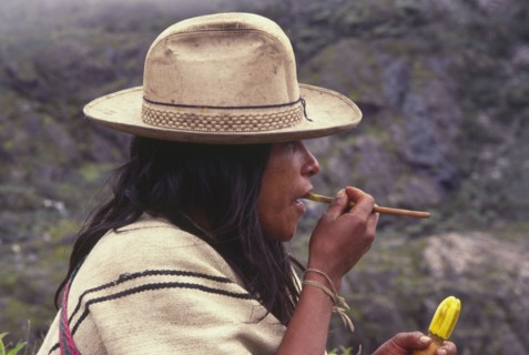 COLOMBIA, Santa Marta, Sierra Nevada , "Ica indian taking coca, gourd in left hand has calcium