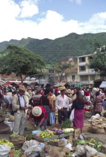 COLOMBIA, Bucaramanga, "A busy Saturday market, people buying fruit and vegetables."