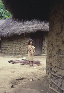 COLOMBIA, Santa Marta, Sierra Nevada, "Young Cogi girl holding cotton yarn, standing in-between two