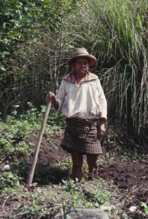 GUATEMALA, Solola, Campesino preparing land for cultivation.
