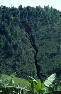 BURUNDI, Environment, Gully erosion due to deforestation.