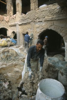 MOROCCO, Fes, Chouwara Tanneries.  Stripping fleece from skins before dyeing.